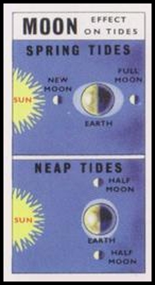 6 Moon Effect on Tides